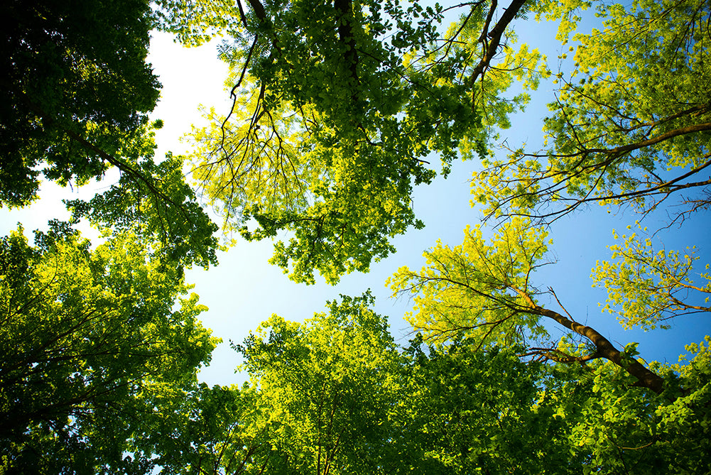 10 Ways to Make Your Skincare Routine More Sustainable This Earth Day